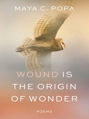 cover image of Wound Is the Origin of Wonder